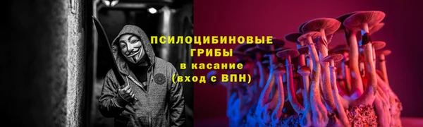 твердый Балахна