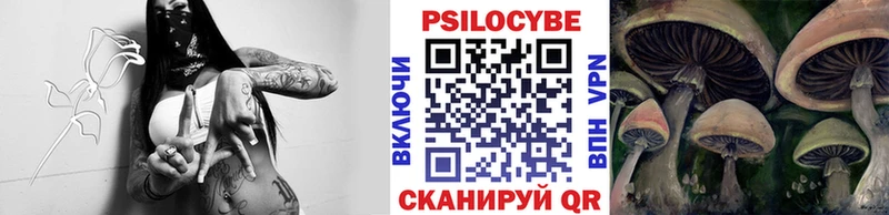 блэк спрут как войти  Петровск-Забайкальский  Галлюциногенные грибы Cubensis 